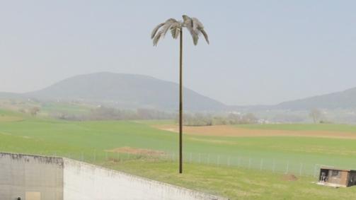 Une image de synthèse simulant la hauteur du palmier, juste à côté de la cour de la prison de Gorgier.