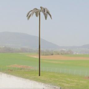 Une image de synthèse simulant la hauteur du palmier, juste à côté de la cour de la prison de Gorgier.