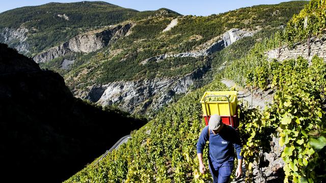 Les vins valaisans pourront eux aussi porter le label "Valais" [Keystone - Jean-Christophe Bott]