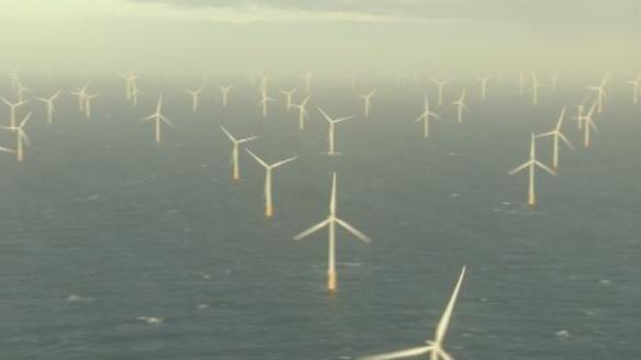 Un champ d'éoliennes au large de la Belgique.