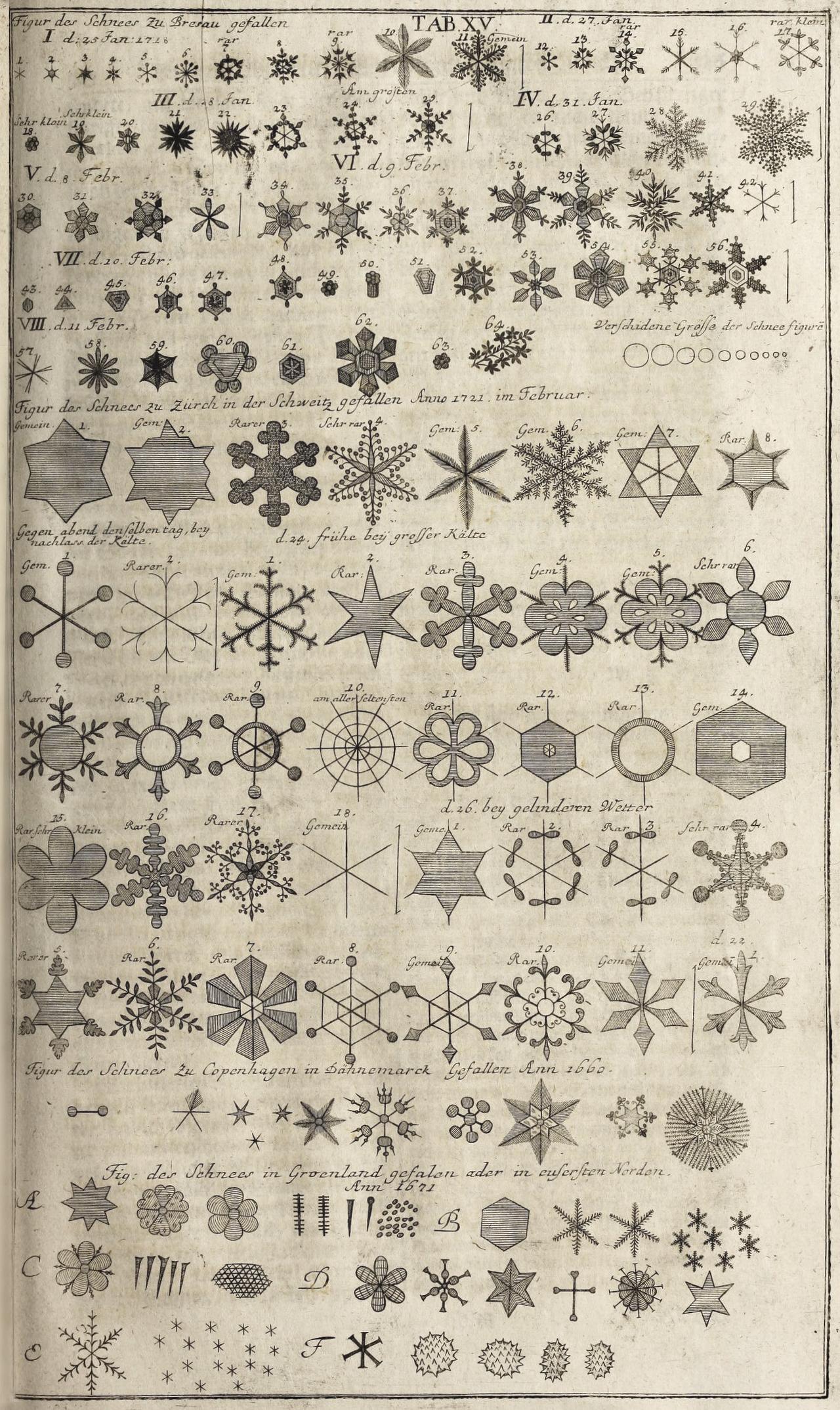 Anciens croquis de flocons de neige. [DR]