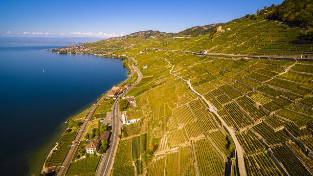 L'irrigation à la rescousse du vin vaudois contre le réchauffement climatique [Keystone - Valentin Flauraud]