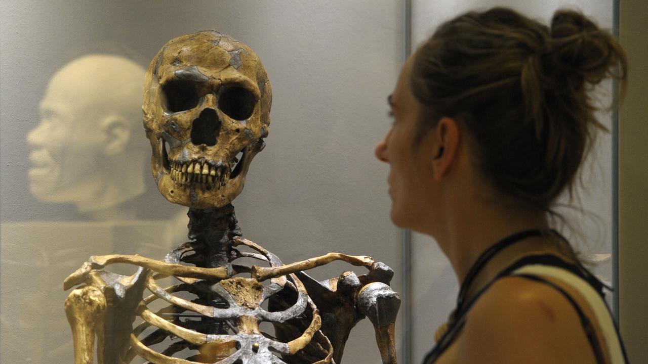 Le "goulet d'étranglement" aurait contribué à l'évolution parallèle des espèces humaines de Néandertal, Denisova et des humains modernes. [Keystone - Matthias Rietschel]