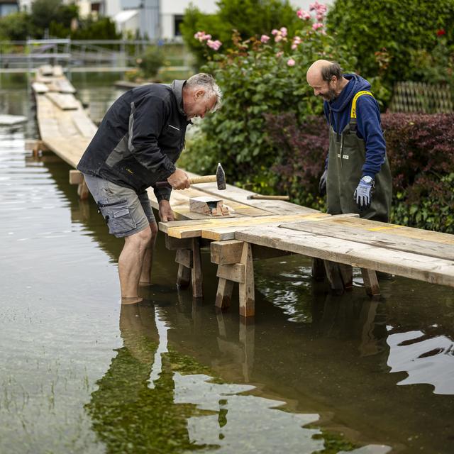 Un employé municipal et un citoyen bénévole construisent un passage en bois en prévision des crues sur la partie inférieure du lac de Constance. [KEYSTONE - MICHAEL BUHOLZER]