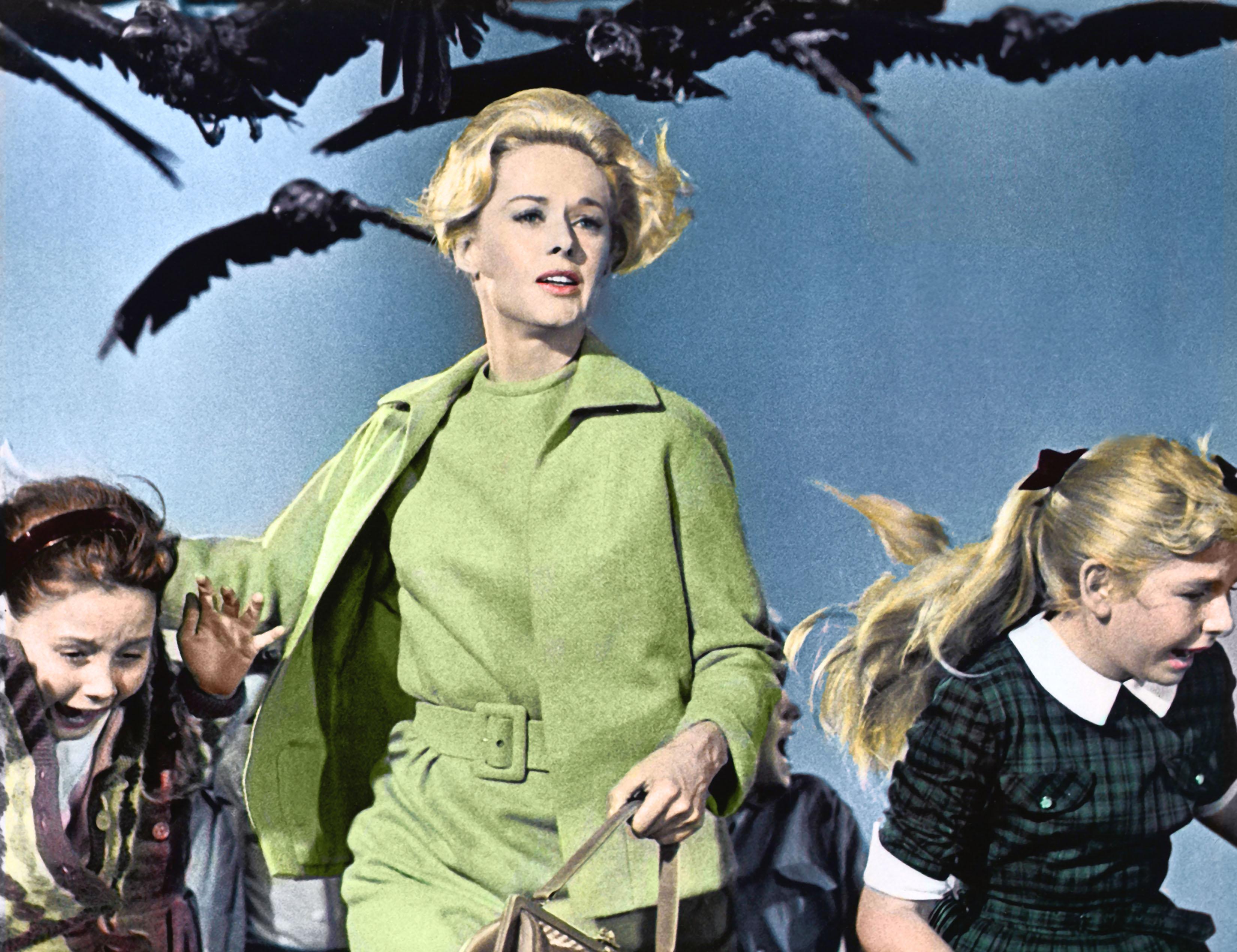 Image du film "Les Oiseaux" d'Alfred Hitchcock [Universal/The Kobal Collection]