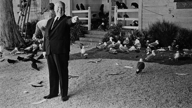 Le réalisateur Alfred Hitchcock sur le plateau de tournage du film "Les Oiseaux". [Wolf Tracer Archive / Photo12]