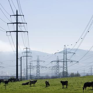 Le réseau électrique fait partie des infrastructures critiques, tout comme le réseau de télécommunication, les hôpitaux ou les routes. [Keystone]