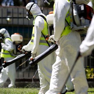 Une brigade tente d'éradiquer les moustiques Aedes dans un parc de Buenos Aires. [AP Photo/Natacha Pisarenko]