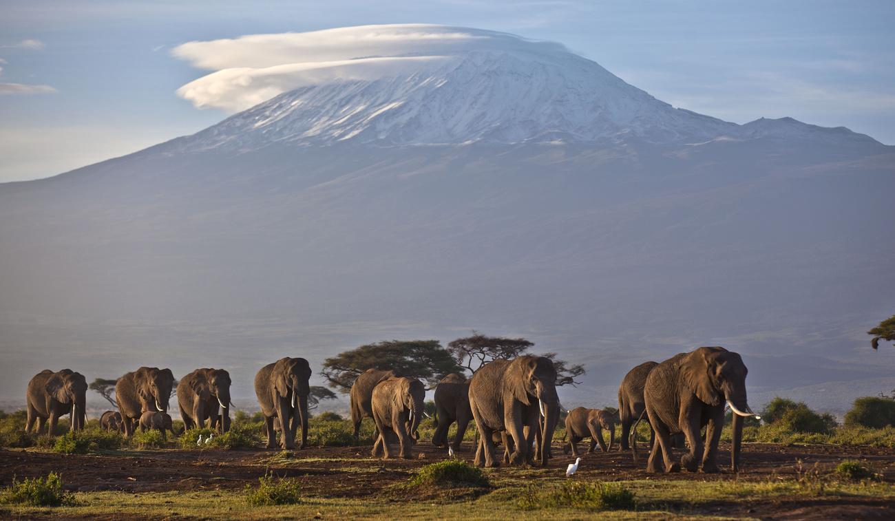 Le Kilimandjaro en Tanzanie photographié en décembre 2012. [AP Photo - Ben Curtis]