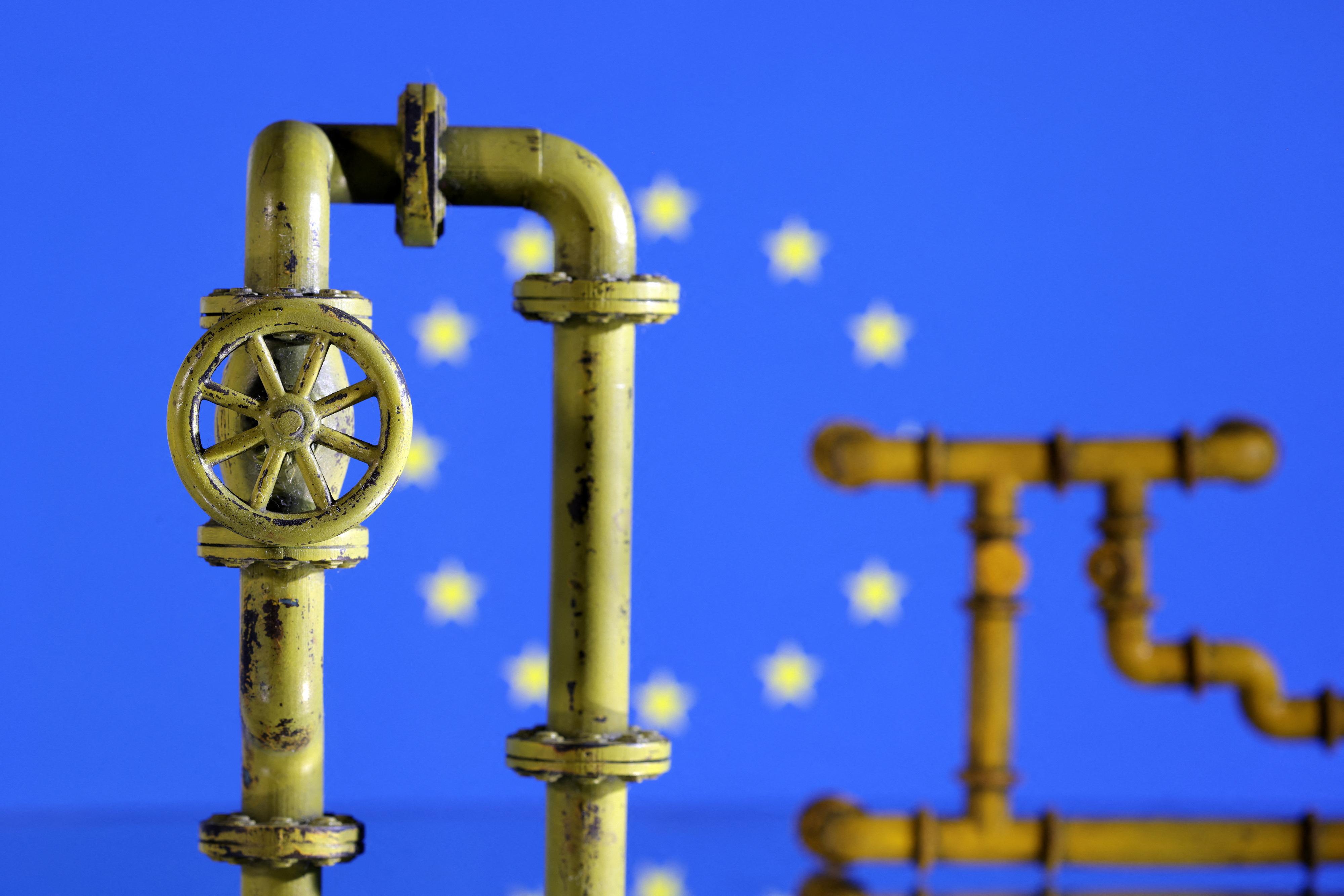 Les pays de l'UE s'accordent sur un plan de réduction de gaz [Reuters - Dado Ruvic]