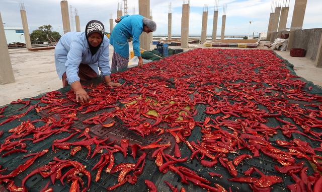 Une employée tunisienne travaille dans une usine de production de harissa, à Kobra [KEYSTONE - Mohamed Messara]