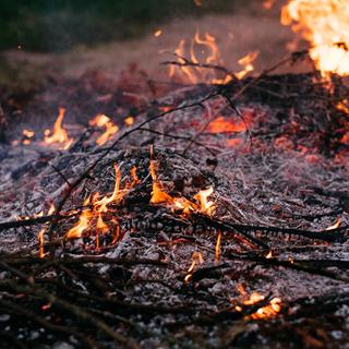 Il est fréquent que les incendies renaissent de leurs cendres à cause du vent par exemple, prévient Marco Conedera (image d'illustration). [Pexels - freestocks.org]