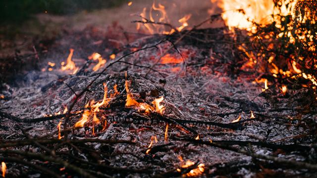 Il est fréquent que les incendies renaissent de leurs cendres à cause du vent par exemple, prévient Marco Conedera (image d'illustration). [Pexels - freestocks.org]