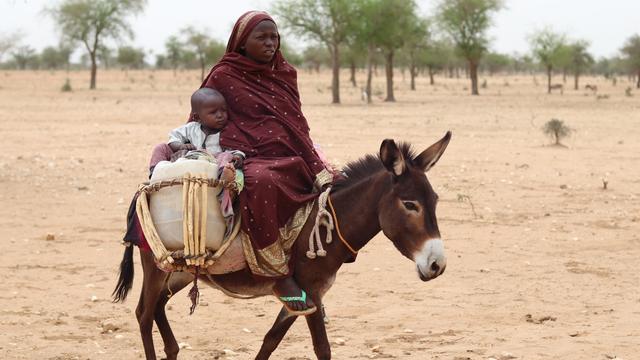 Pour atteindre Koufroun (Tchad), des centaines Soudanais, très majoritairement des femmes et des enfants, traversent chaque jour la frontière à pied ou à dos d'âne. [AFP - GUEIPEUR DENIS SASSOU]