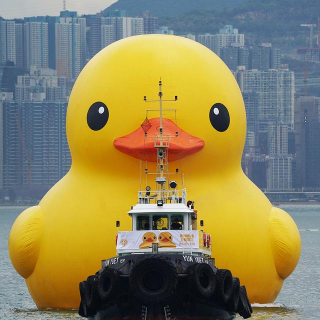 Le canard géant de l’artiste néerlandais Florentijn Hofman a fait son retour vendredi 6 juin 2023 dans la baie de Hong Kong [AFP - WANG SHEN]