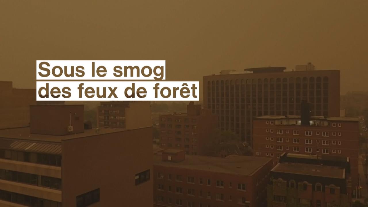 Sous le smog des feux de forêt