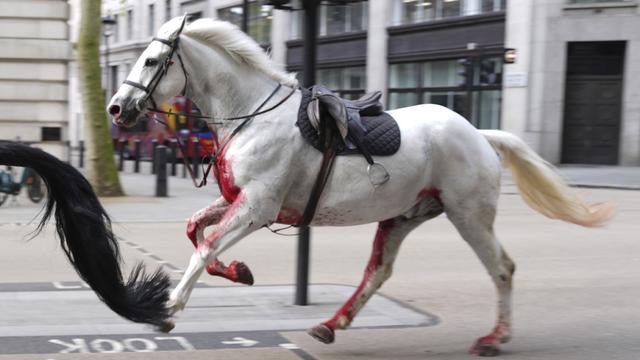 Des images spectaculaires ont montré deux chevaux, dont l'un couvert de sang, galoper à vive allure au centre de Londres. [KEYSTONE - JORDAN PETTITT]