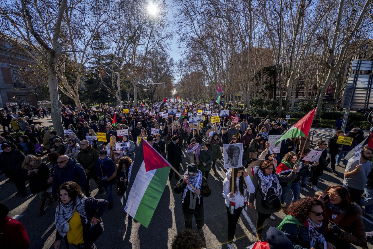 Des manifestants tiennent le drapeau palestinien lors d'une manifestation à Madrid, le 20 janvier. [Keystone - Manu Fernandez]
