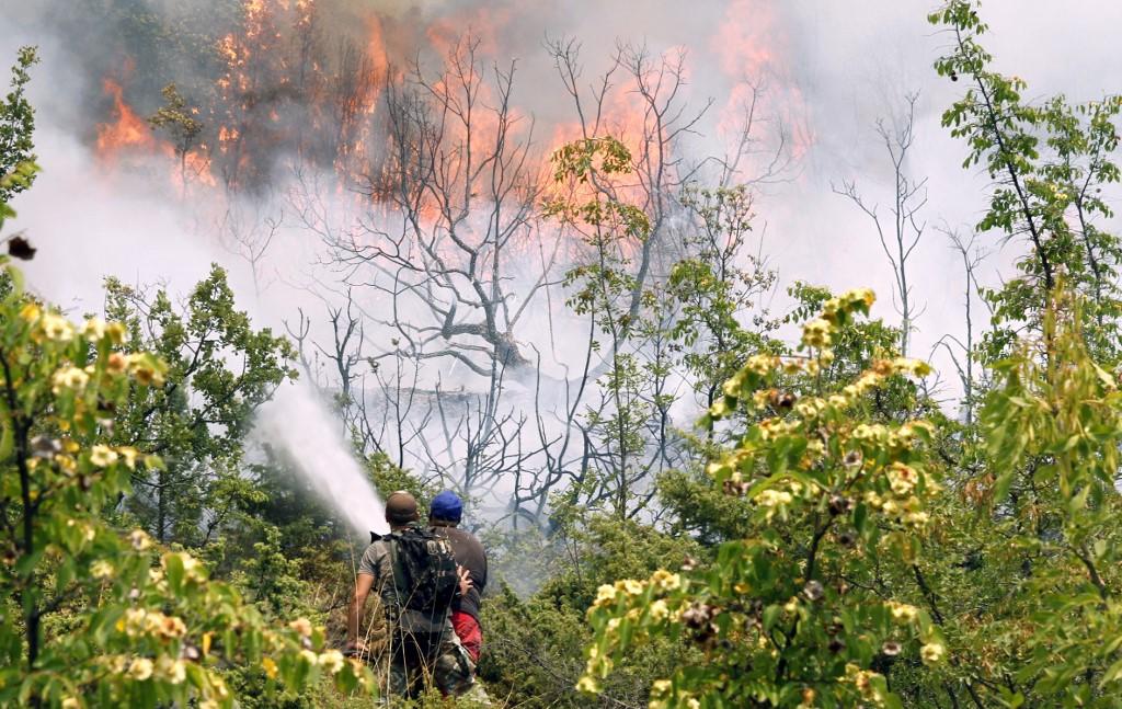Des pompiers macédoniens arrosent des arbres pour tenter d'éteindre un feu près de Negotino, le 14 juillet 2024. [AFP - DARKO DURIDANSKI]