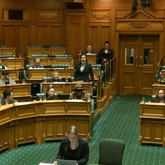 Des députés lancent un haka au Parlement néo-zélandais pour protester contre un projet de loi, le 14 novembre 2024. [AFP - Parlement de Nouvelle-Zélande]