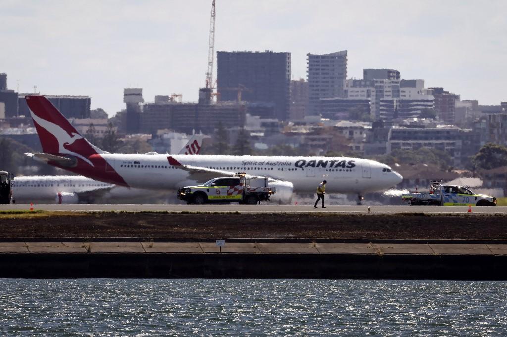 L'avion en question était un Boeing 737. [AFP - DAVID GRAY]