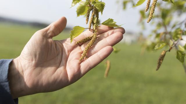 Plus d'1,5 million de personnes souffrent d'une allergie en Suisse (photo d'illustration). [Keystone - Gaetan Bally]