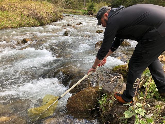 Grégory Fornay, exploitant de la pisciculture de Vouvry relâche des truites dans la rivière. Une quinzaine de mise à l'eau sont réalisées durant la saison [RTS - Laurence Bolomey]