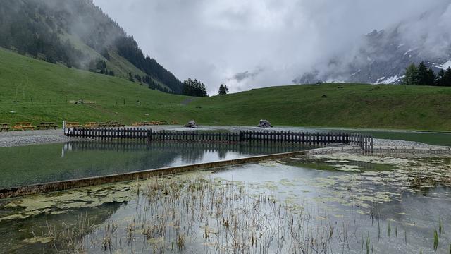 Par beau temps en été, la piscine naturelle du pâturage de Frience, sur les hauteurs de Gryon, accueille jusqu'à 500 baigneurs par jour. [RTS - Martine Clerc]