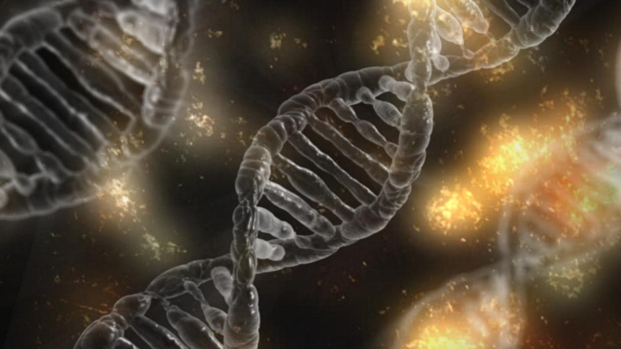 Un modèle d'ADN à double hélice. [Image prétexte] [Pixabay]