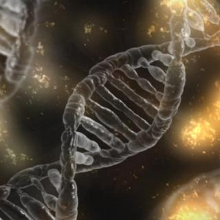 Un modèle d'ADN à double hélice. [Image prétexte] [Pixabay]