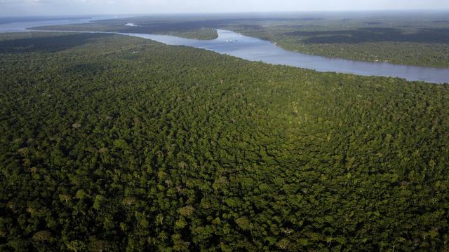 Les forêts pourraient capter bien plus de CO2, selon une étude de l'EPFZ. [AP Photo - Eraldo Peres]