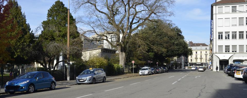 Rue des Rois, Genève, avec le cimetière à gauche. [Wikimedia Commons - Yann Forget]