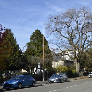Rue des Rois, Genève, avec le cimetière à gauche. [Wikimedia Commons - Yann Forget]