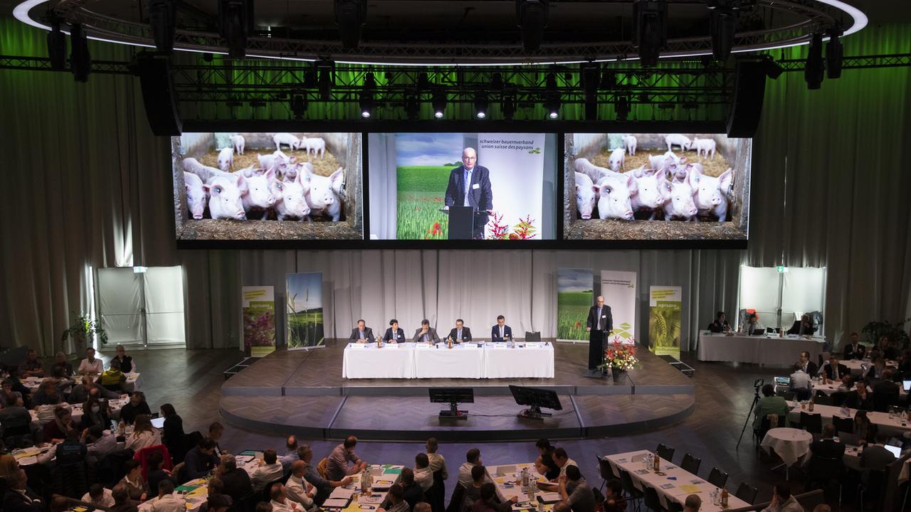 L'Union suisse des paysans se prépare déjà contre l'initiative sur l’élevage intensif. [Keystone - Peter Klaunzer]