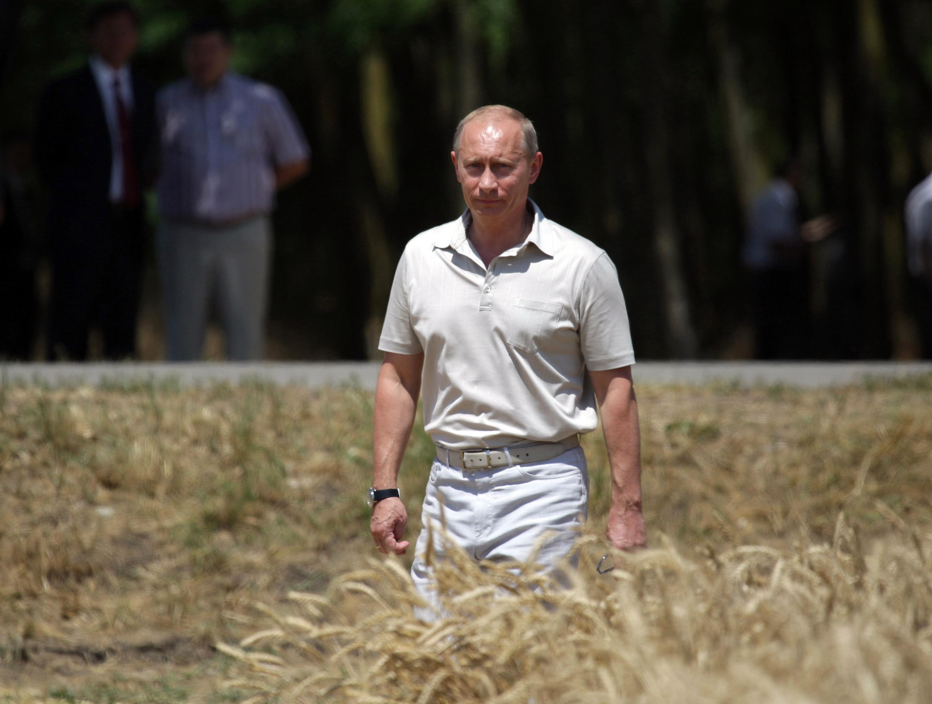 Vladimir Poutine, alors Premier ministre de la Russie, dans un champ de blé russe en 2009. [Reuters/RIA - Alexei Druzhinin]
