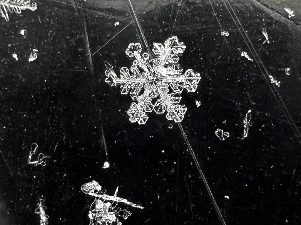 Photo d'un flocon de neige alors qu'une énorme tempête de neige s'abat sur Toronto, Ontario, Canada, le 17 janvier 2022. [AFP - Creative Touch Imaging Ltd.]