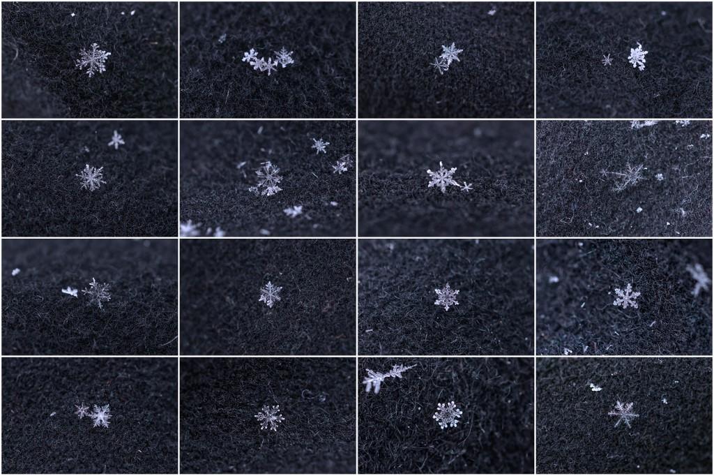 Différents types de flocons de neige façonnés par la température et l'humidité de l'air après une chute de neige à Hakkari, en Turquie. [Anadolu Agency via AFP - Ozkan Bilgin]
