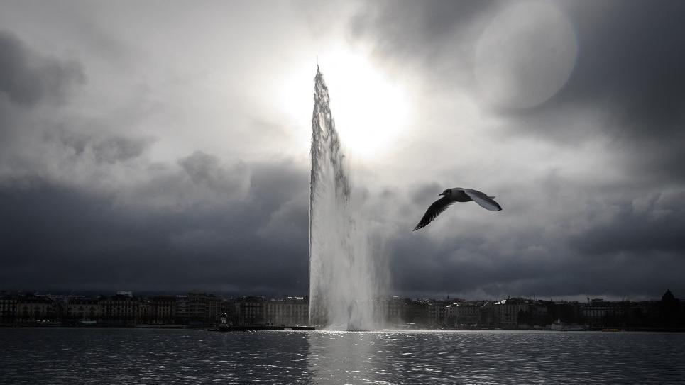 Une mouette passe devant le Jet d'eau de Genève le 1er janvier 2021 (image d'illustration). [AFP - FABRICE COFFRINI]