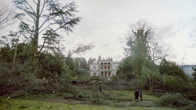 Des arbres ravagés dans le Rieterpark de Zurich, le dimanche 26 décembre 1999, après le passage de la tempête Lothar. [KEYSTONE - MICHELE LIMINA]