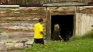 Grisons: l'ours brun de retour après 100 ans d'absence