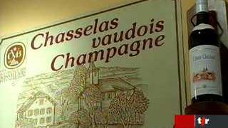 Appellation contrôlée: profonde injustice pour les producteurs de vin de la commune de Champagne (VD)