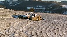 Au milieu du vignoble du Barolo, lorsque Noël approche, on ne cultive pas que du vin