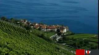 L'Unesco va décider d'inscrire ou non le vignoble de Lavaux (VD) au patrimoine mondial