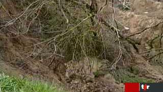 Berne va déblayer les gravats et les arbres qui bloquent le canal de Hagneck