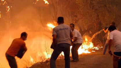 Les habitants de la région de Zacharo se battent avec les flammes