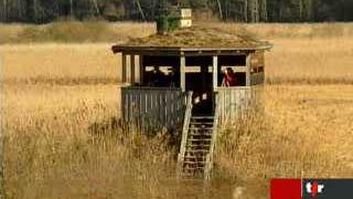 Recensement international des oiseaux migrateurs: reportage à Neuchâtel