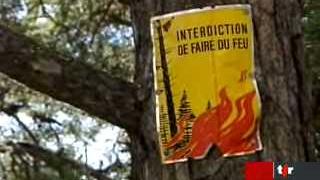 Les cantons de Vaud et du Valais interdisent les feux en plein air