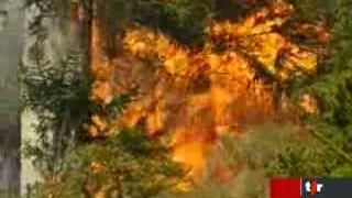 Valais: un incendie ravage la vallée de la Sionne