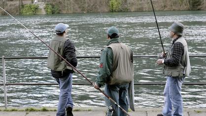 Les pêcheurs fribourgeois pourront retaquiner la truite.