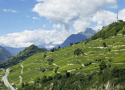 Le Valais a l'ambition de développer son tourisme viticole.